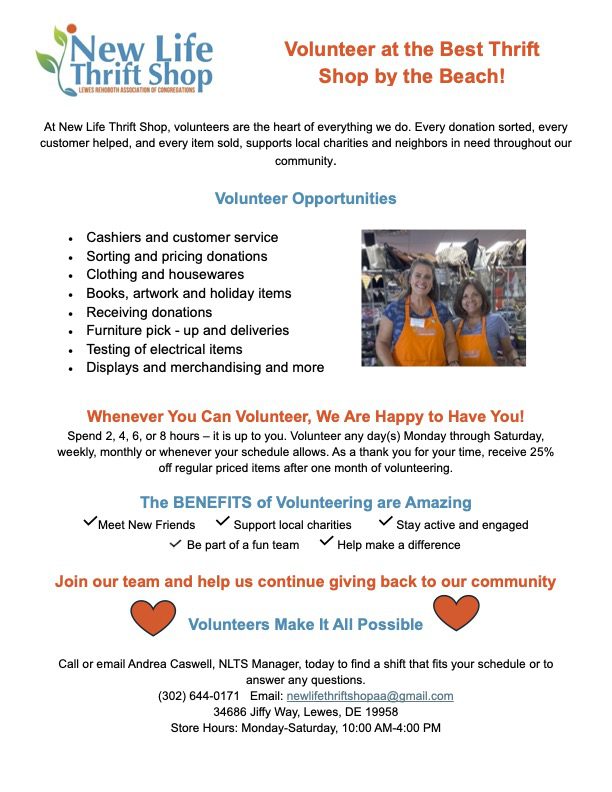 Website Volunteer Recruitment flyer vs 4